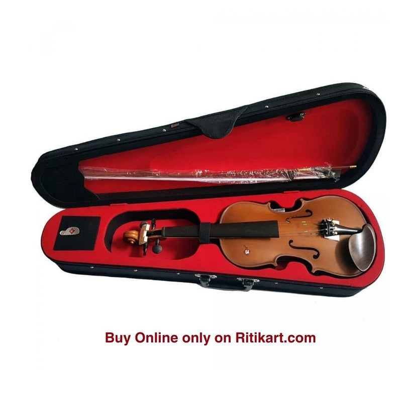 Buy GEWA PURE Shape Violin Case, Gray Online India | Ubuy